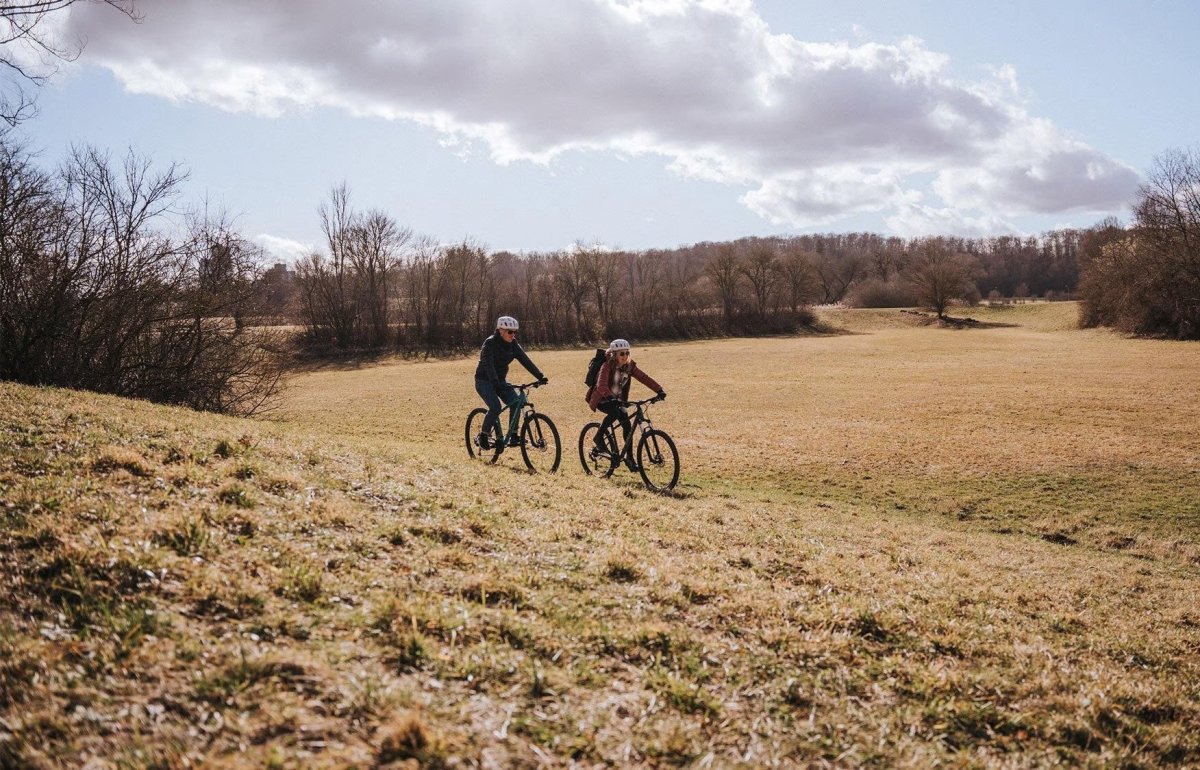 Vélos non électrique