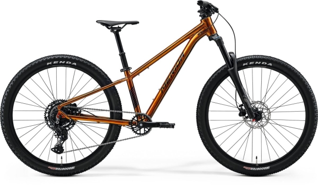 Merida  Matts J Champion